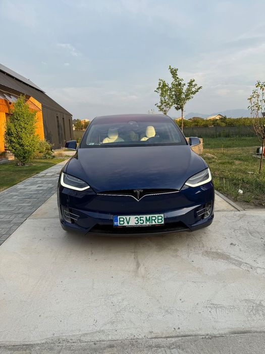 Tesla Model X Model X 2019 Long Range Raven
