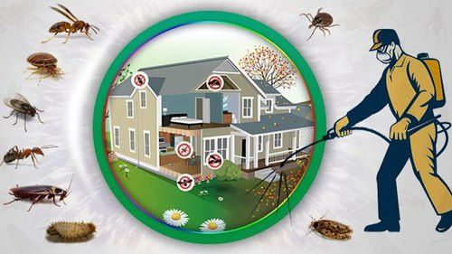 Dezinfeksiya xizmati. Дезинфекция