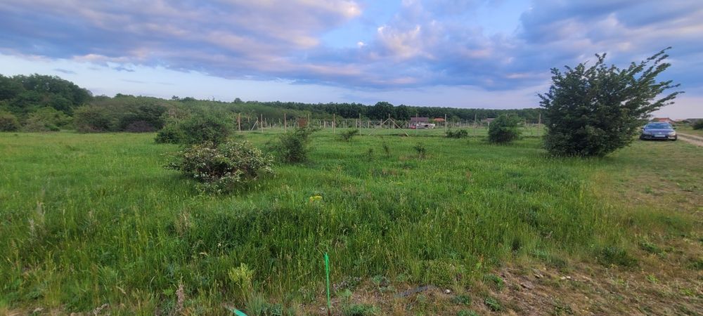 Vand parcela / loc de casa  în Gepiu /Leș