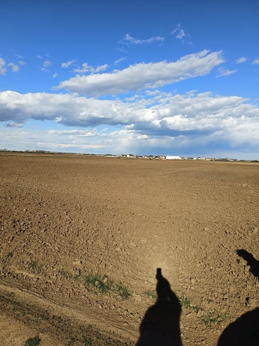 Vând teren comuna Tunari