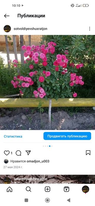 Штамп атир гулар