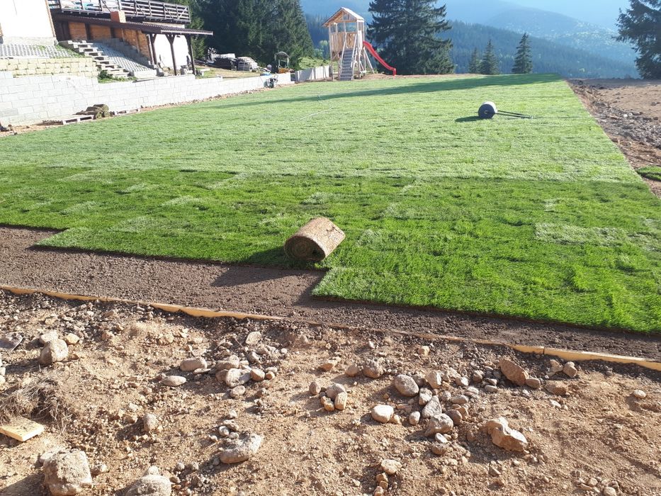 Gazon tip rulou de vanzare