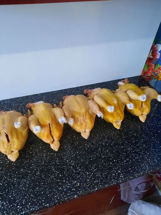 Мясо домашнего бройлера