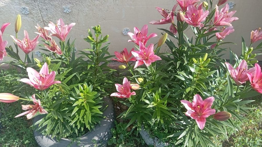 Продаю дом хороший