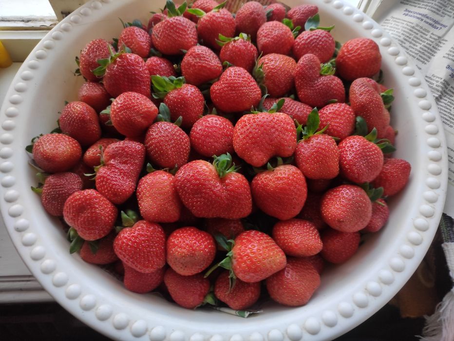 Продаётся клубника