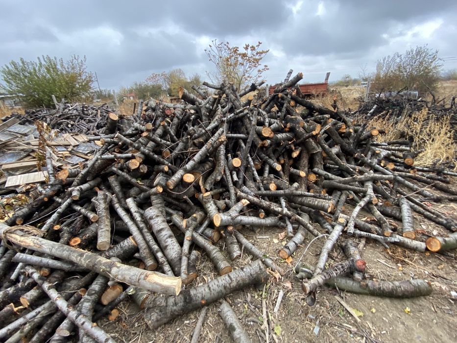 Дърва  за  огрев