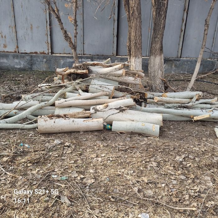 Отын бар тез арада дайын