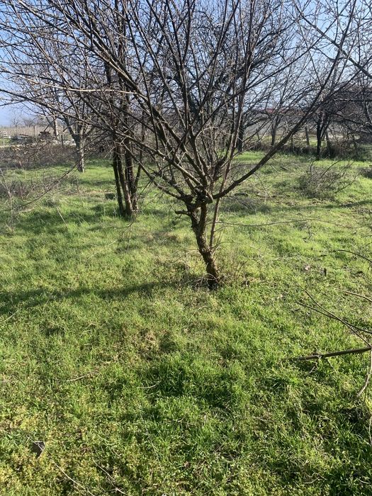 Парцел в регулация на село Червен