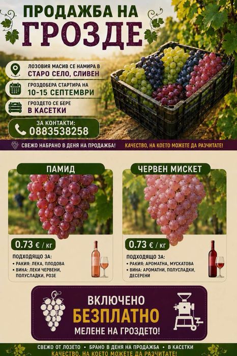 Продавам грозде Памид и Червен Мискет