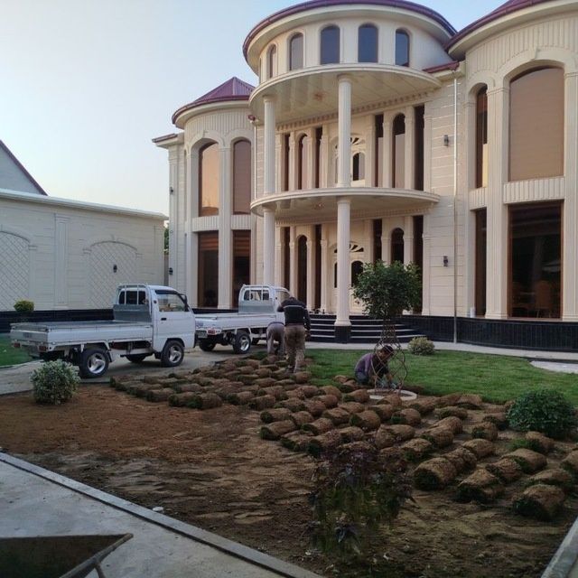 Gazon ruloni  va uruğ sepish  xizmati