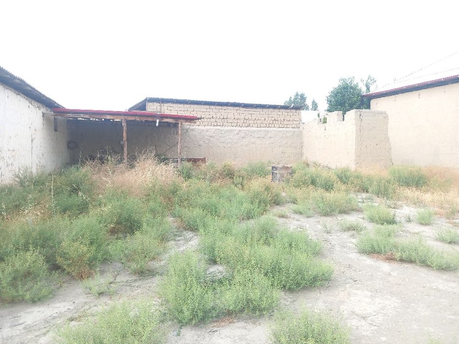 Korhonaga qarashli 10 sotiklik yer sotiladi