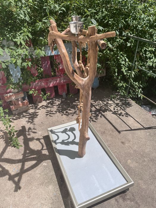 Кацалка за птици,папагал