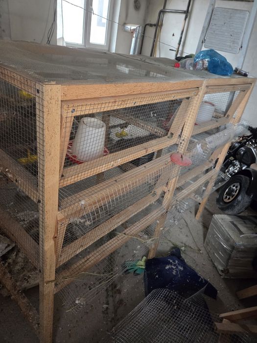 Клетки для перепелок