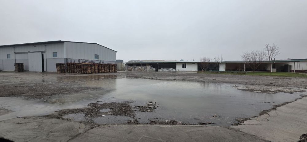 Срочно продается база новый международный аэропорт!