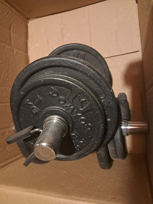 Gantere 2x10 kg Domyos