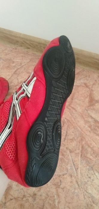 Борцовкий продам