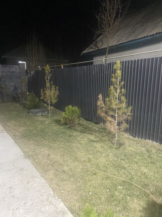 Продам деревья сосна