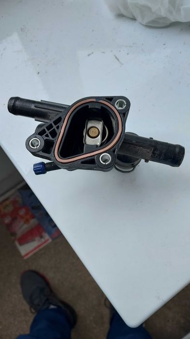 Vand termostat cu carcasa logan 1.0 sce