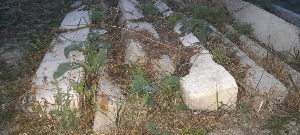 Продаются Пасынки 10кВ.