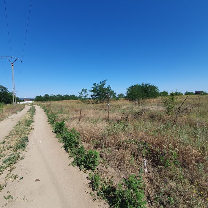 Oferta!!   Teren intravilan Malu Mare 1500 mp - strada Salcamilor