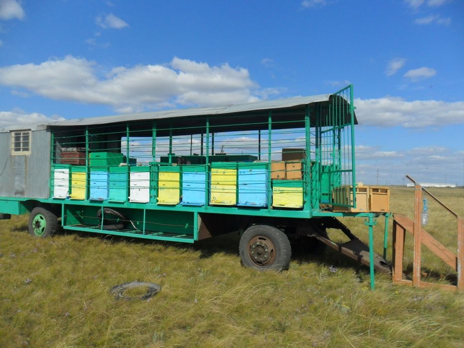 Пчелопавильон. Прицеп для пчёл.  Улья