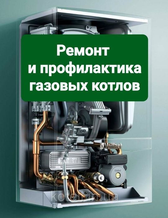 Сантехнические услуги, ремонт и профилактика газовых котлов.