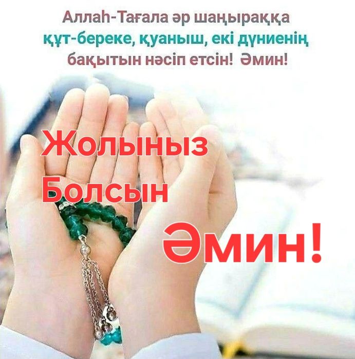 Водитель Профессионал.