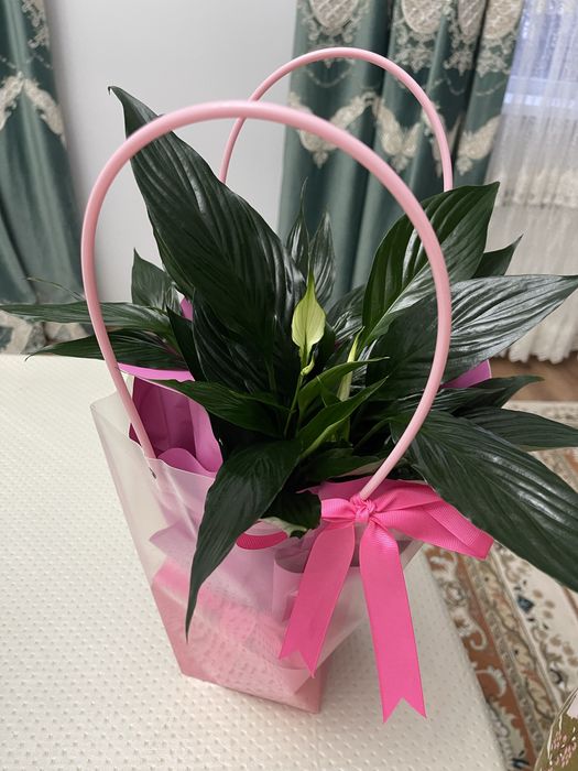 Продается свежие букеты по 7-8000 тг