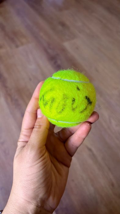 Minge tenis Wilson autograf Horia Tecãu