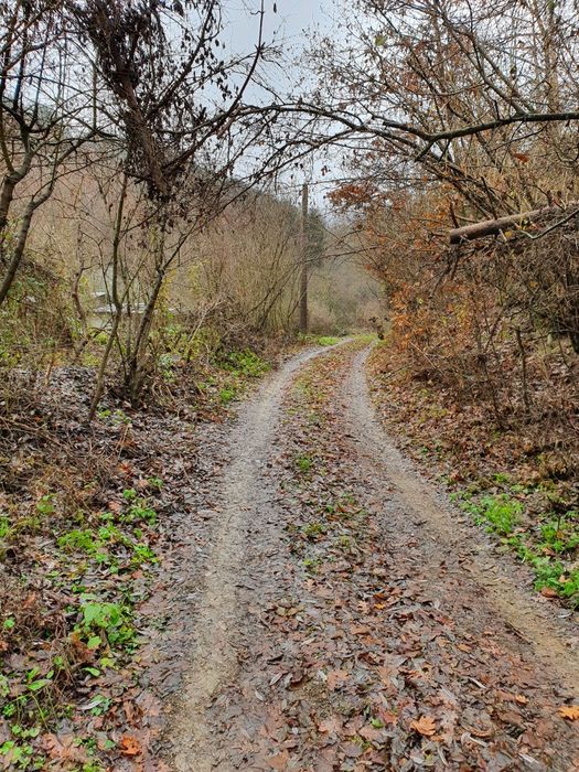Цяла самостоятелна Къща с двор в с. Луково