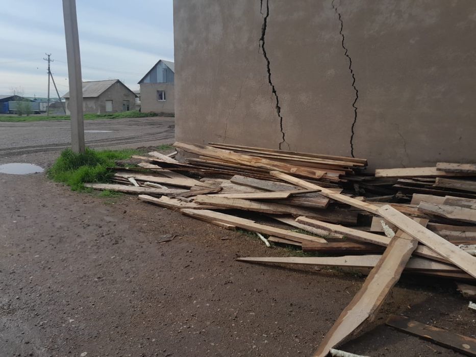 Ағаштар бар       .