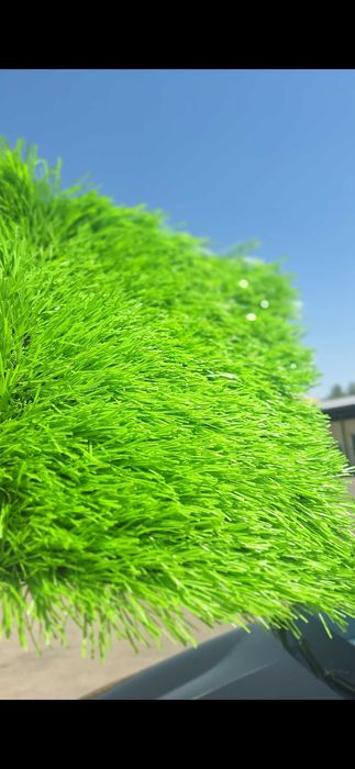 Искусственный газон.