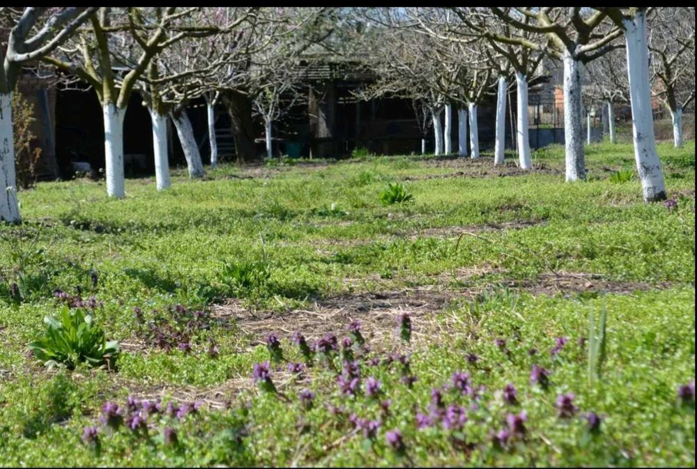 Продава се Къща в с. Ерден, Област Монтана - 75 кв.м за 714 €/кв.м - Снимка #9