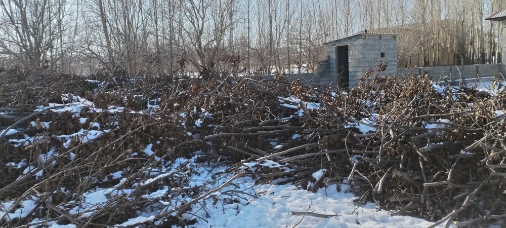 утин вассалик йогоч