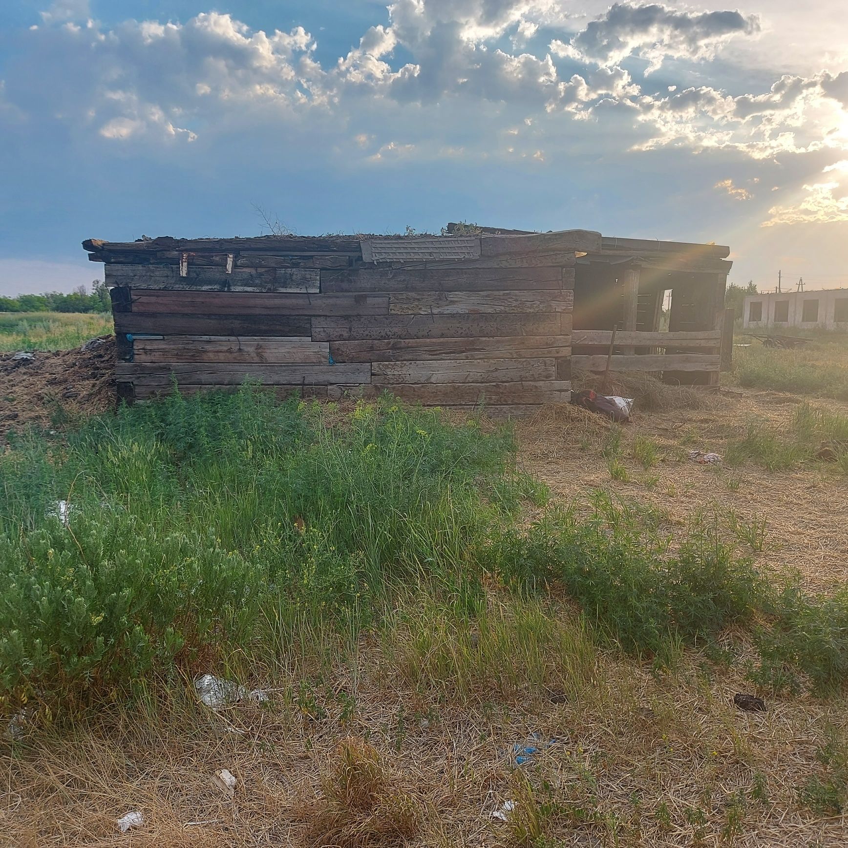 Погода в атбасаре на 10 дней