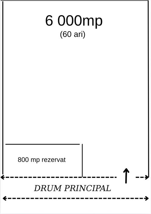 Teren de vânzare - 60 ari