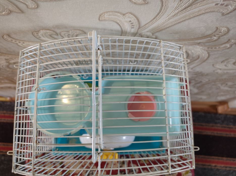 Клетка для хомяка