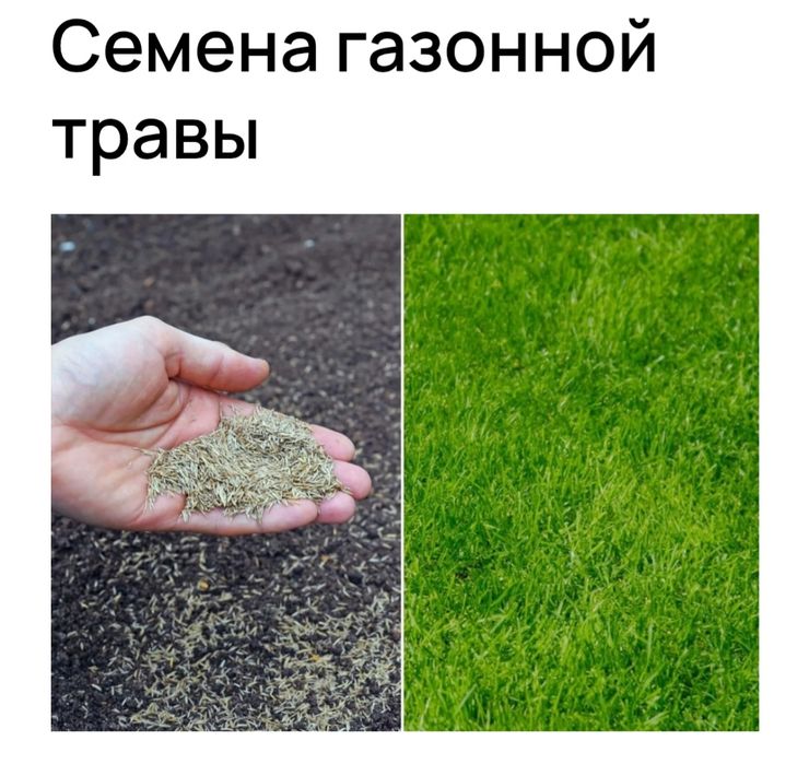 Газон Автополив Ландшафт дизайн