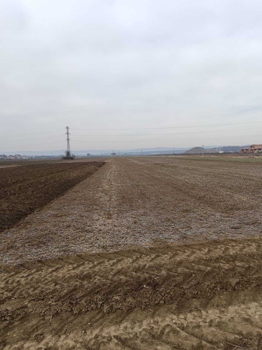 Teren de vânzare 4800 mp zona Maracineni, Buzau