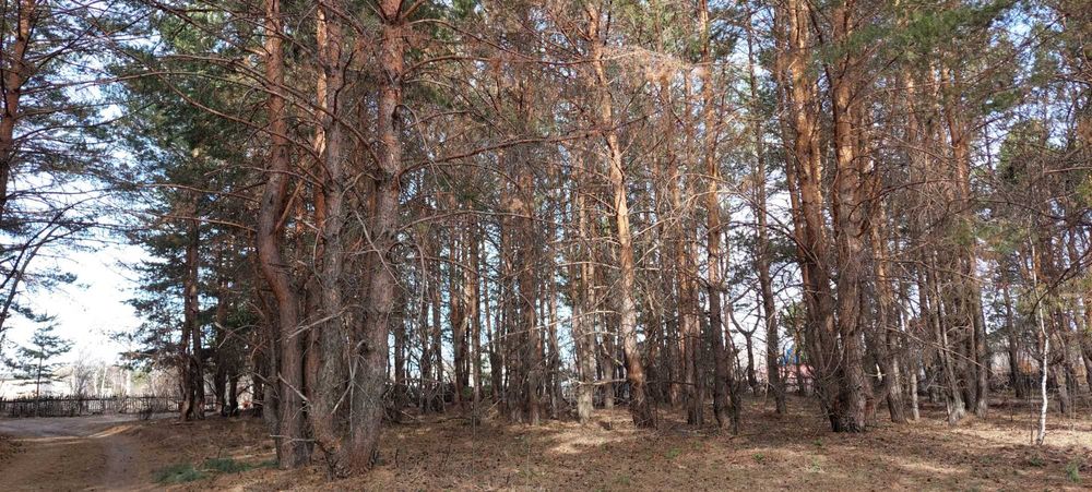 Продам участок земли