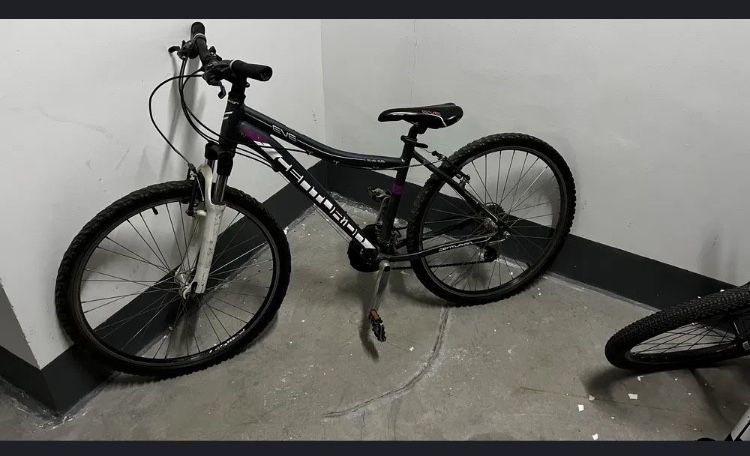 велосипед в аренду