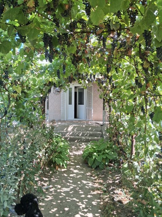 Casă de vanzare Ciocani