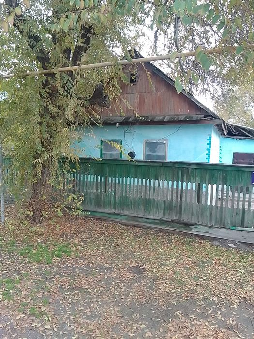 IPhoni  11 C гарантия