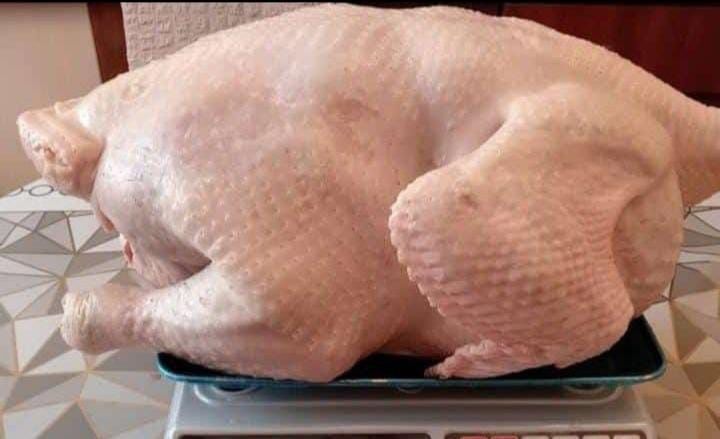 Куры  индейка утки