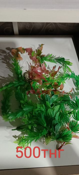 продам для аквариума