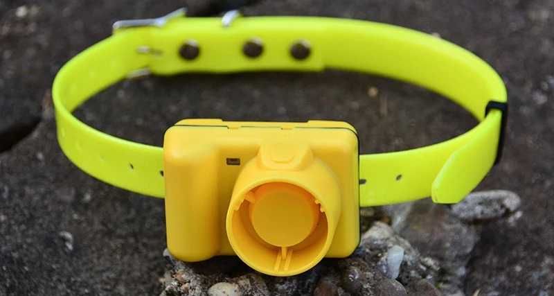 Beeper dog нашийник за ловно куче презареждаща батерия водоустойчив