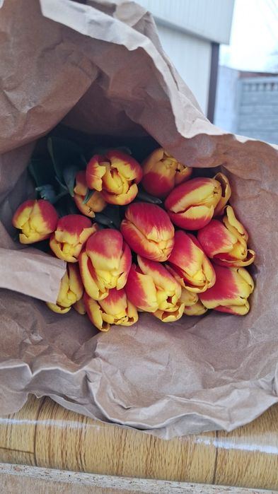 Тюльпаны на 8 марта