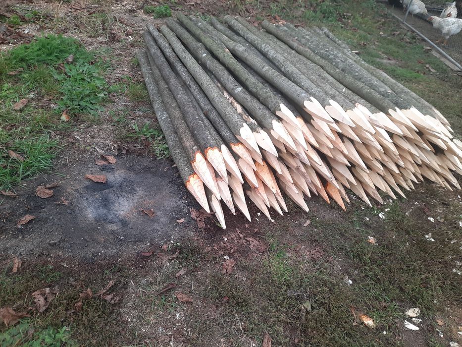 Pari pentru rosii , fasole, gard electric, vie