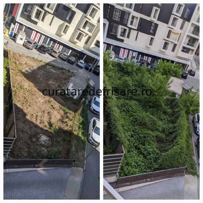 Salubrizare terenuri, curatare vegetatie, defrisare si tocare, cosire