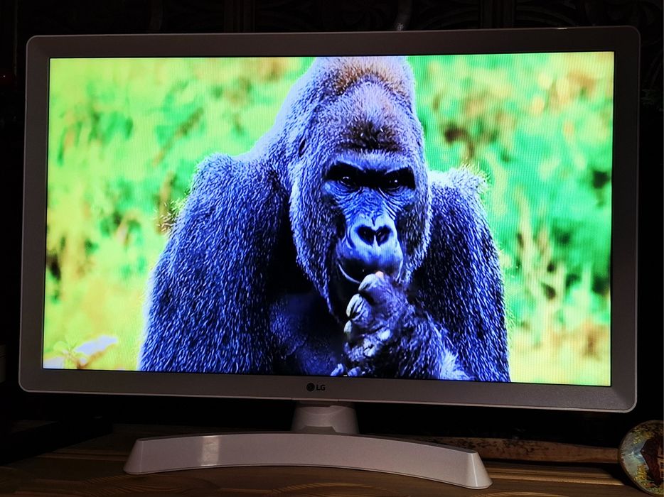 Телевизор/Монитор LG